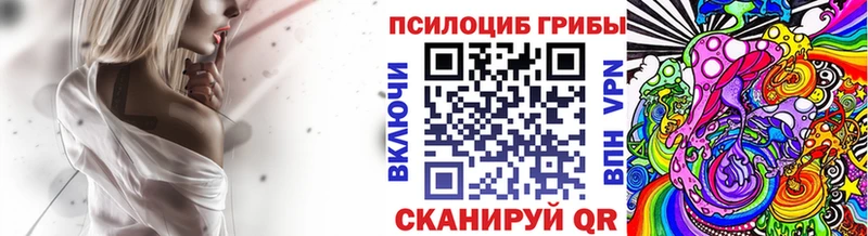 магазин  наркотиков  Весьегонск  Галлюциногенные грибы Psilocybine cubensis 